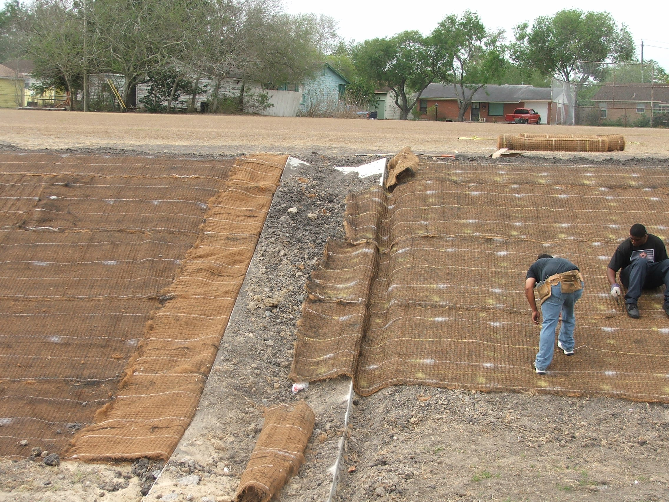 EROSION CONTROL BLANKET Buffel Grass Seed Company