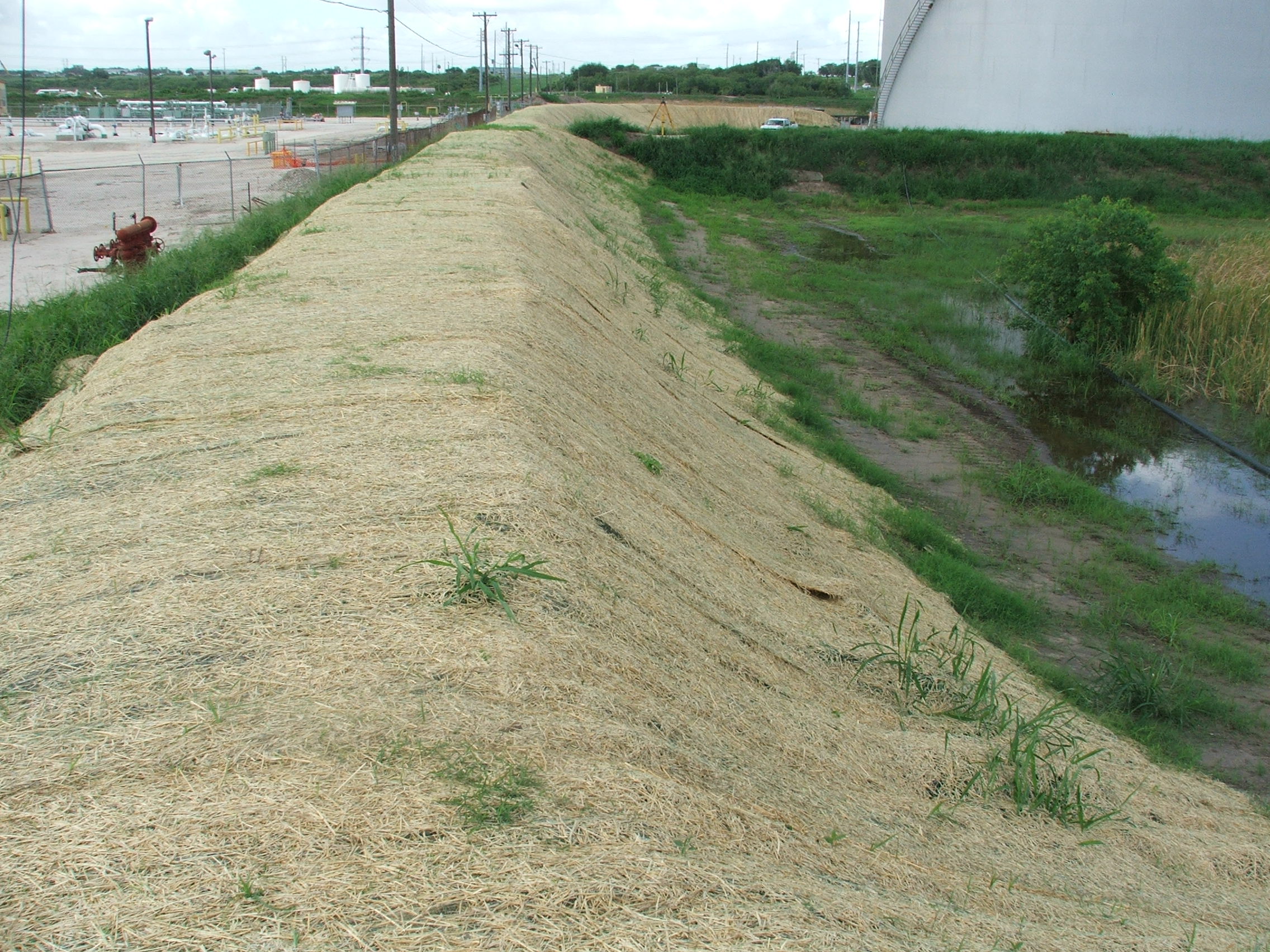 Straw mat best sale grass seed cover