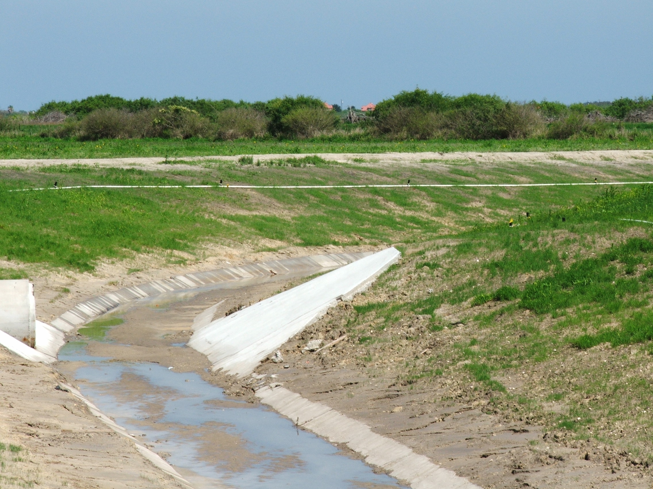 Los Vientos Ditch Initial grass 4