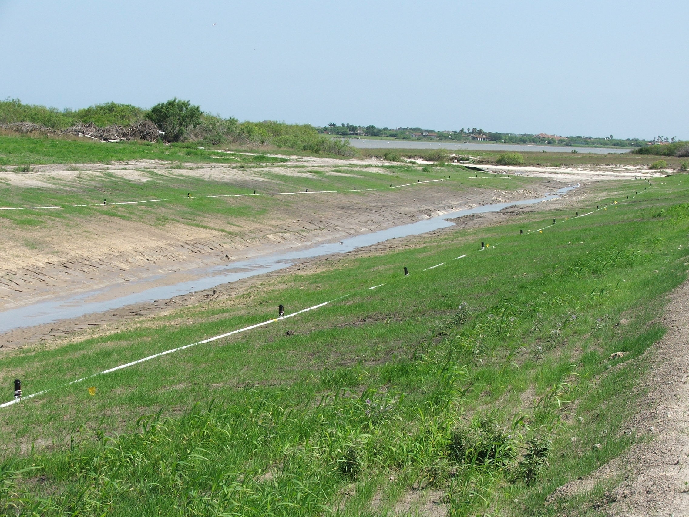 Los Vientos Ditch Initial grass 6