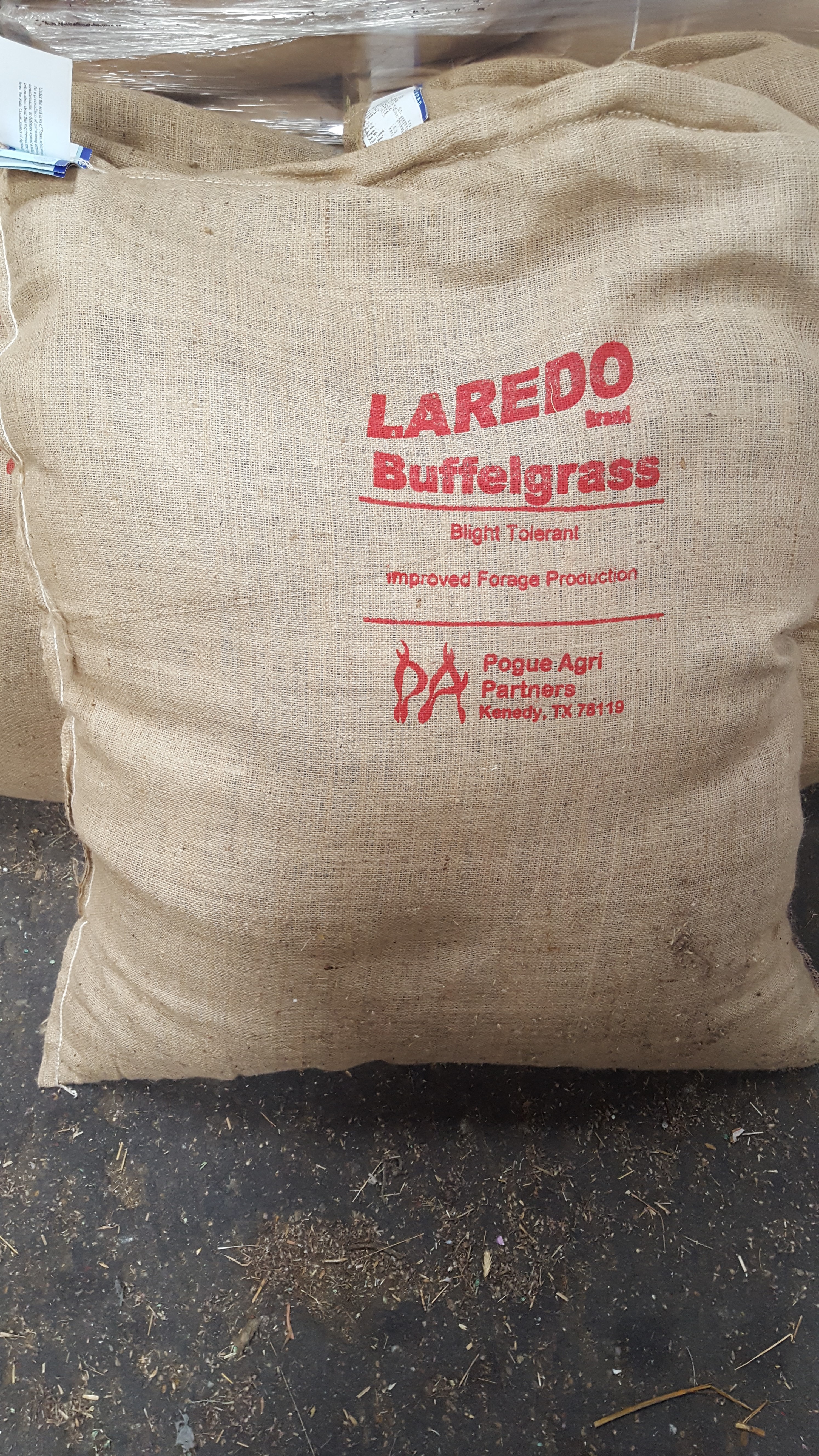 Laredo Buffel